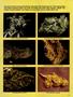 Page: - 89 | High Times