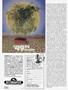 Page: - 26 | High Times