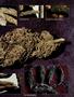 Page: - 67 | High Times