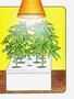 Page: - 111 | High Times