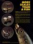 Page: - 3 | High Times