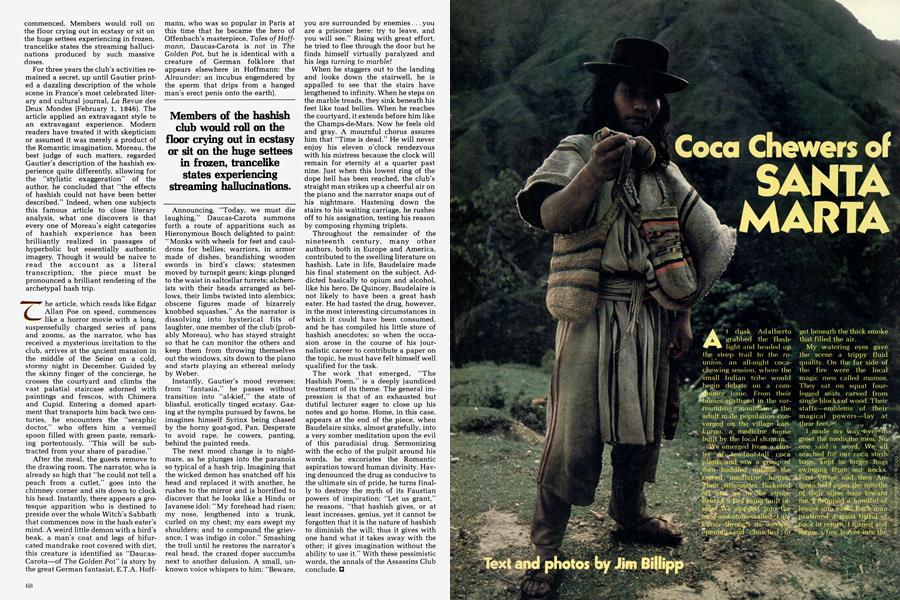 Coca Chewers of SANTA MARTA