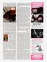 Page: - 109 | High Times