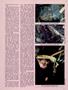 Page: - 77 | High Times