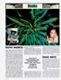 Page: - 122 | High Times