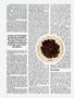 Page: - 62 | High Times