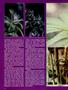 Page: - 68 | High Times