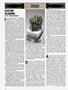 Page: - 18 | High Times