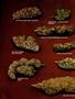 Page: - 88 | High Times