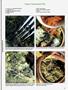 Page: - 97 | High Times