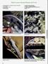 Page: - 98 | High Times