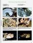 Page: - 99 | High Times