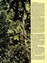 Page: - 51 | High Times