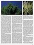 Page: - 53 | High Times