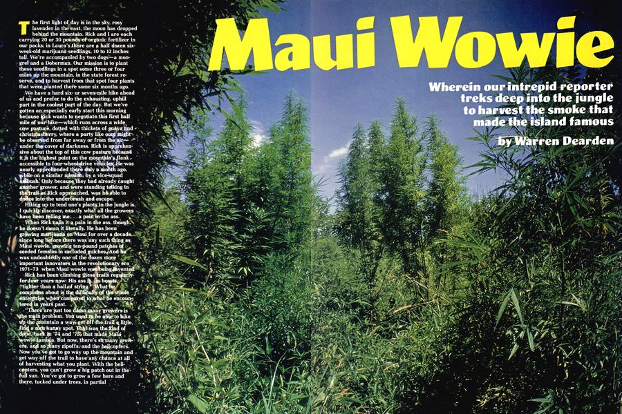 Maui Wowie