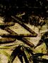 Page: - 59 | High Times