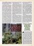 Page: - 71 | High Times