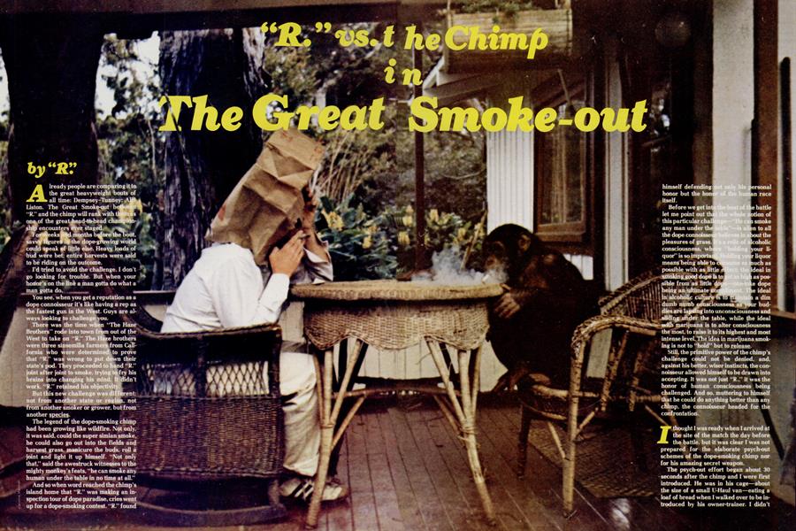"R." vs. the chimp in The Great Smoke-out