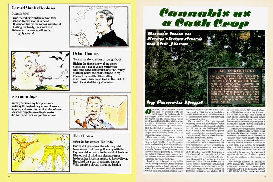 Cannabis as a Cash Crop
