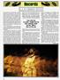 Page: - 98 | High Times