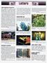 Page: - 9 | High Times