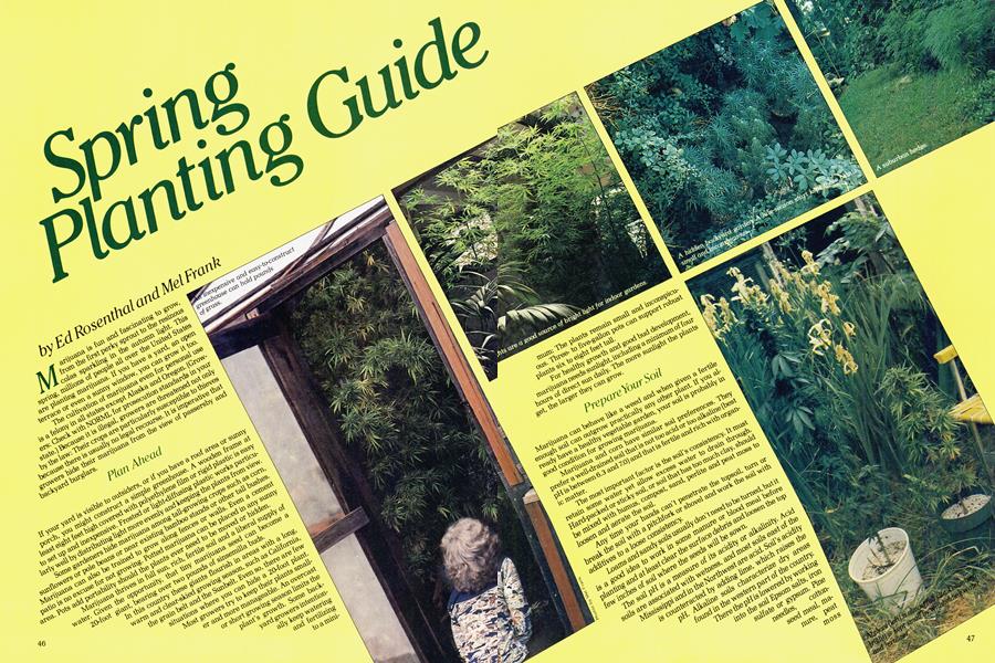 Spring Planting Guide