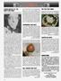 Page: - 10 | High Times
