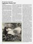 Page: - 24 | High Times