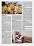 Page: - 39 | High Times