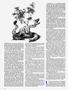 Page: - 46 | High Times