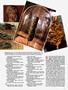 Page: - 61 | High Times