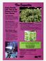 Page: - 69 | High Times