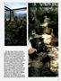 Page: - 67 | High Times