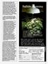 Page: - 77 | High Times