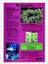 Page: - 107 | High Times