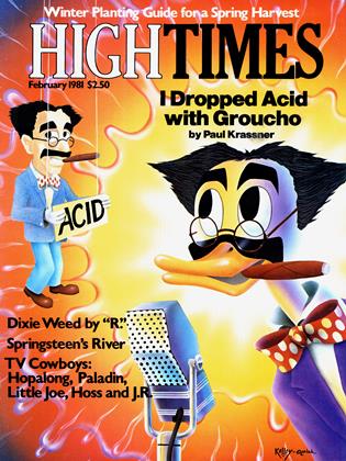 February 1981 | High Times