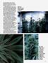 Page: - 63 | High Times