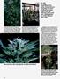Page: - 64 | High Times