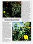 Page: - 45 | High Times