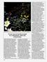 Page: - 46 | High Times