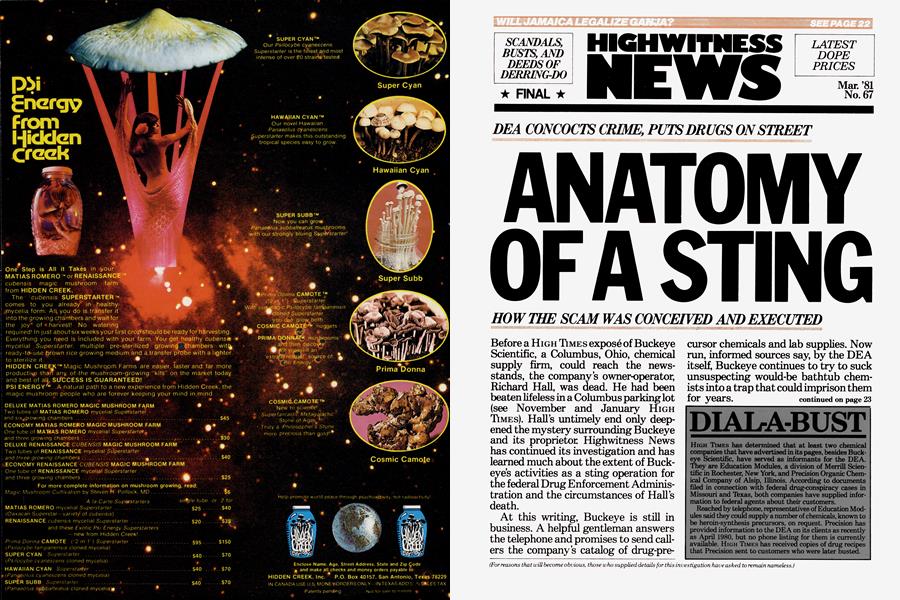 DEA CONCOCTS CRIME, PUTS DRUGS ON STREET ANATOMY OF A STING HOW THE SCAM WAS CONCEIVED AND EXECUTED