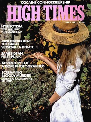APRIL 1981 | High Times