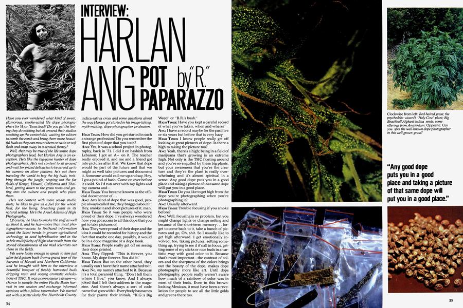 HARLAN ANG POT PAPARAZZO