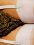 Page: - 55 | High Times