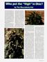 Page: - 59 | High Times