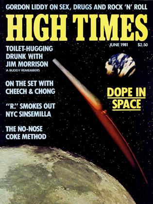 JUNE 1981 | High Times