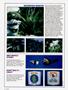 Page: - 72 | High Times