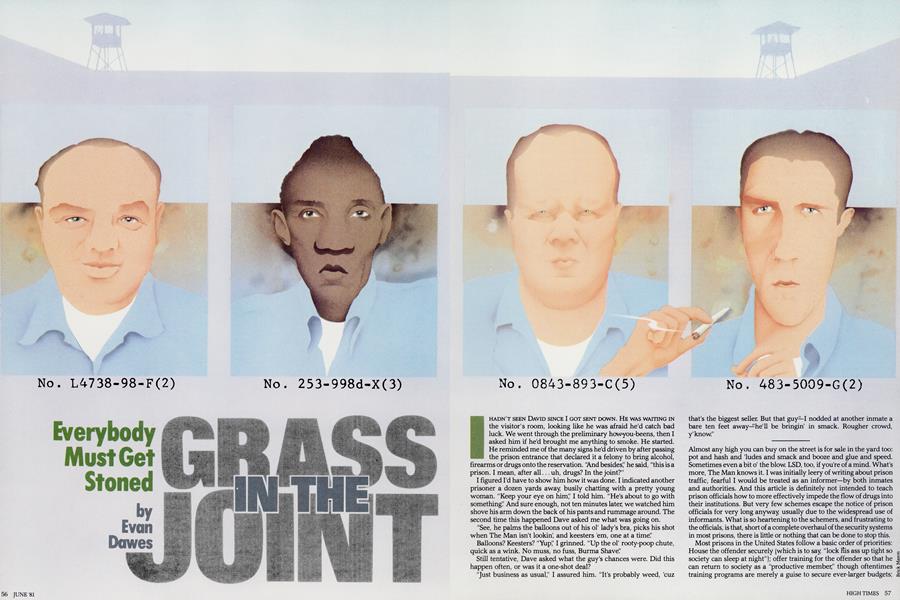 GRASS IN THE JOINT