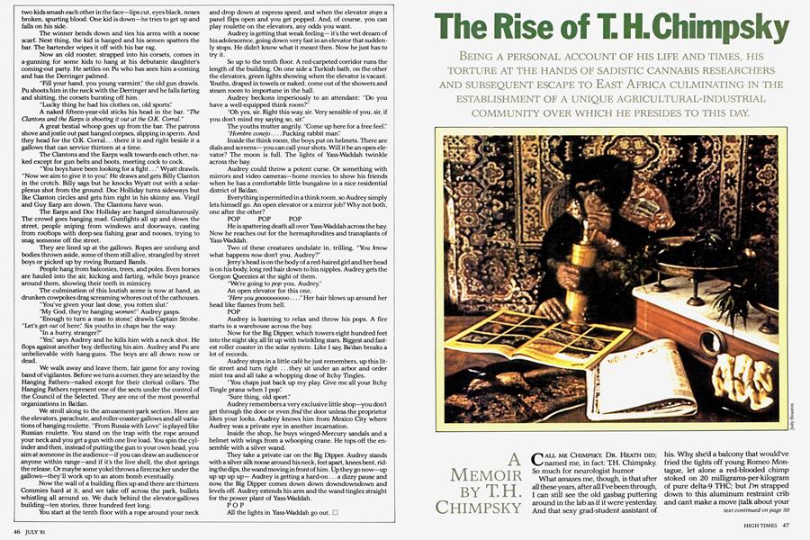 The Rise of T.H. Chimpsky