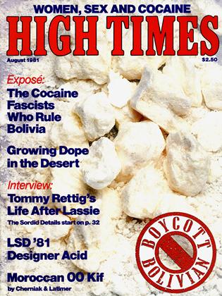 August 1981 | High Times